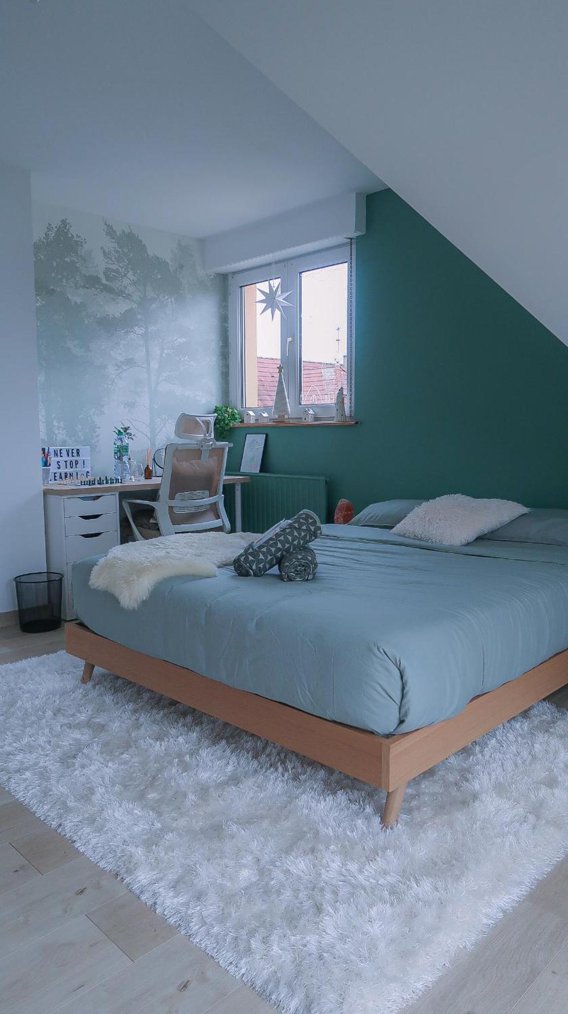Cocoon Bed And Breakfast Fegersheim Екстериор снимка